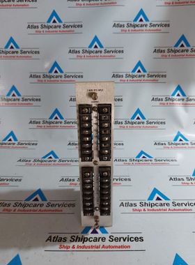 BENTLY NEVADA PWA 79532-01 F 3 Filo RTD Ingressi Terminale