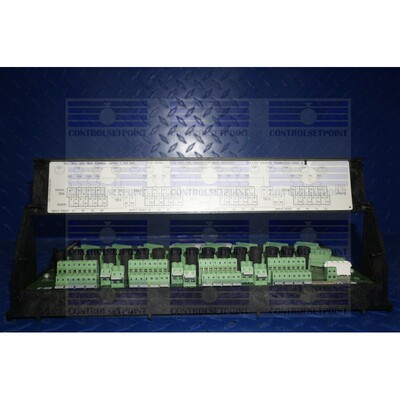 EMERSON RS3 01984-4124-0002 隔离分布终止面板 B