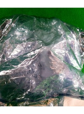 NOVELLUS 16-033931-00 Showerhead PINNED 200 毫米,全新