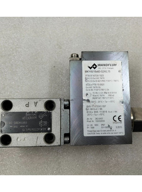 WANDFLUH AEXd22061aL15 SOLENOID 气门