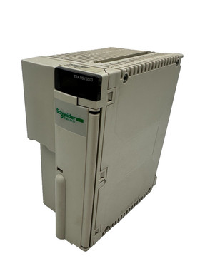 SCHNEIDER ELECTRIC TSXPSY5500 PV 07 RL 06 POWER SUPPLY