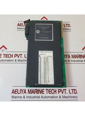Módulo De Entrada Allen-Bradley 1771-IAD 120V AC/DC, 5 VDC