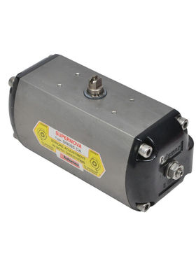 SUPERNOVA stroke control valve SN085 DA, SN085DA, AUTOMAX -S