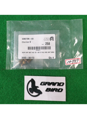 AMAT 3690-06173 SCR 帽子 SKT HD 10-32×1/4L HEX SKT BRS 4 件