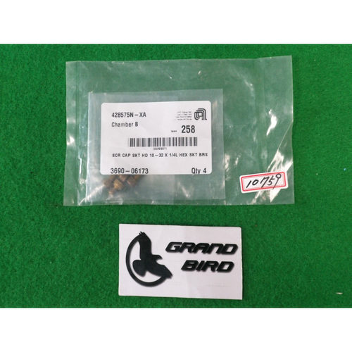 AMAT 3690-06173 SCR 帽子 SKT HD 10-32×1/4L HEX SKT BRS 4 件