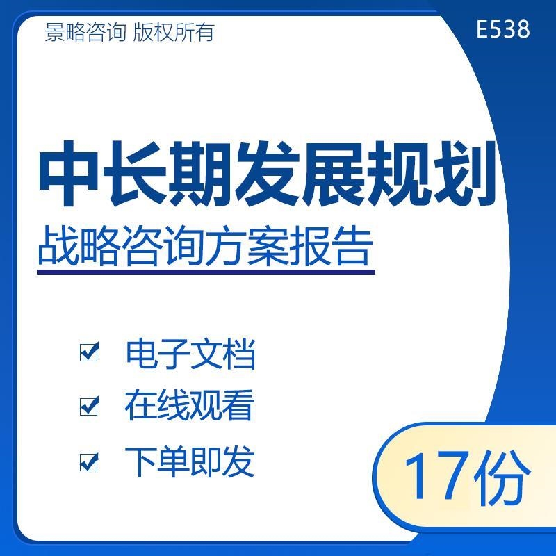 公司企业集团中长期发展规划报告经营...