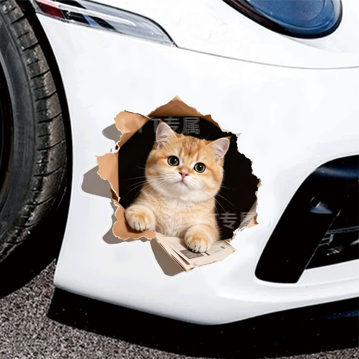 3D小猫车身贴无痕防水遮划痕