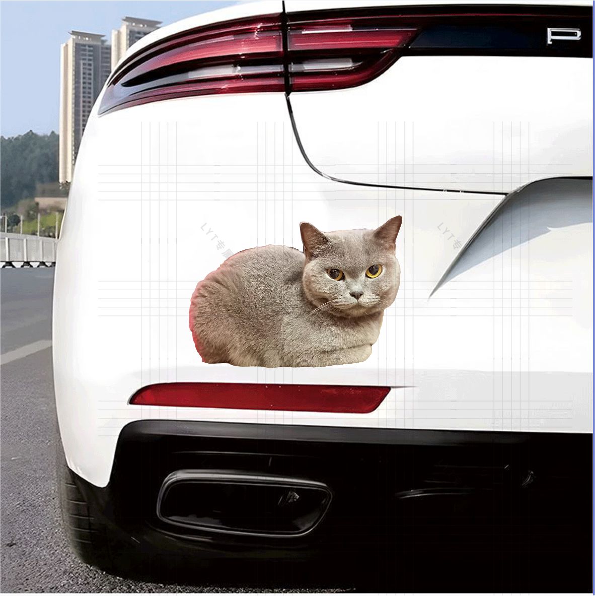 搞怪宠物小猫咪汽车装饰防水贴