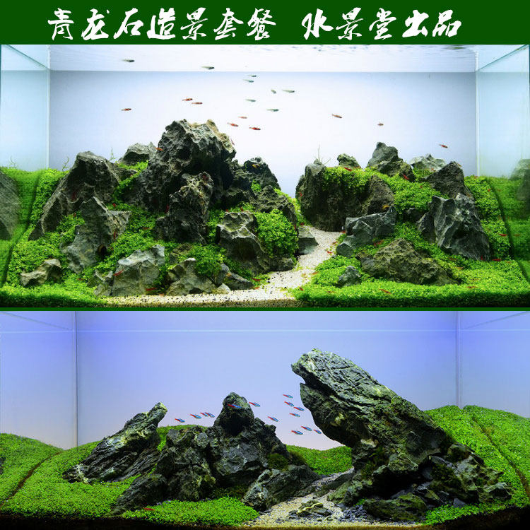 青龙石造景套餐 沉木杜鹃根水草鱼缸二氧化碳钢瓶 热带鱼饲料水草