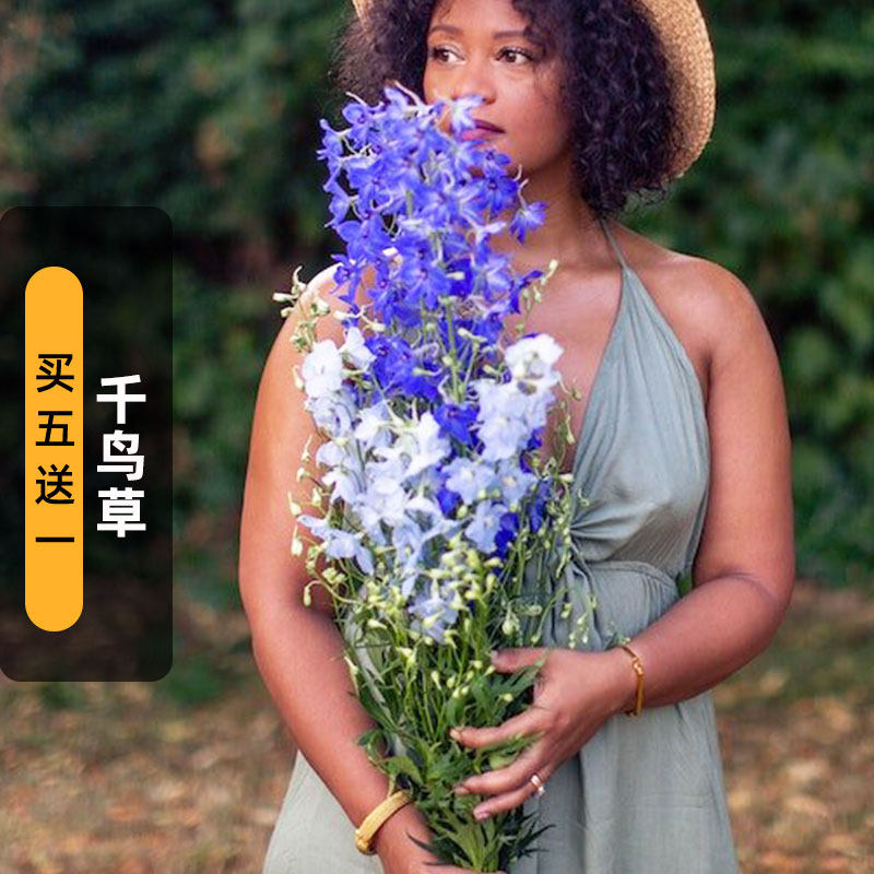 千鸟草种子100粒百部草鸡爪连鸽子花籽可切花室内盆栽耐寒春秋播