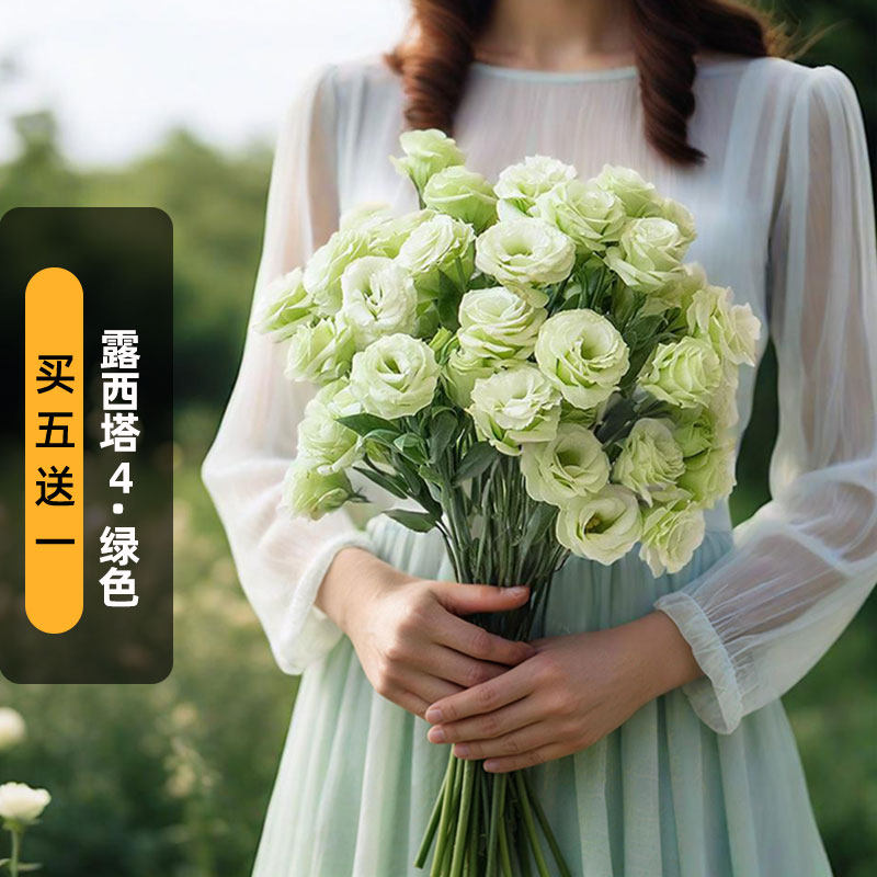 SAKATA进口洋桔梗种子露西塔4/绿色Rosita重瓣切型花盆栽纯秋播图片