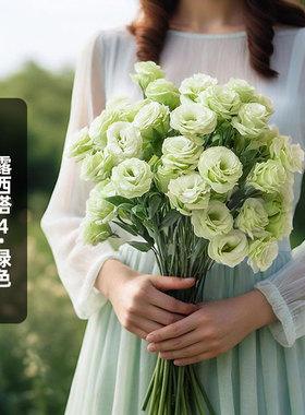 SAKATA进口洋桔梗种子露西塔4/绿色Rosita重瓣切型花盆栽纯秋播