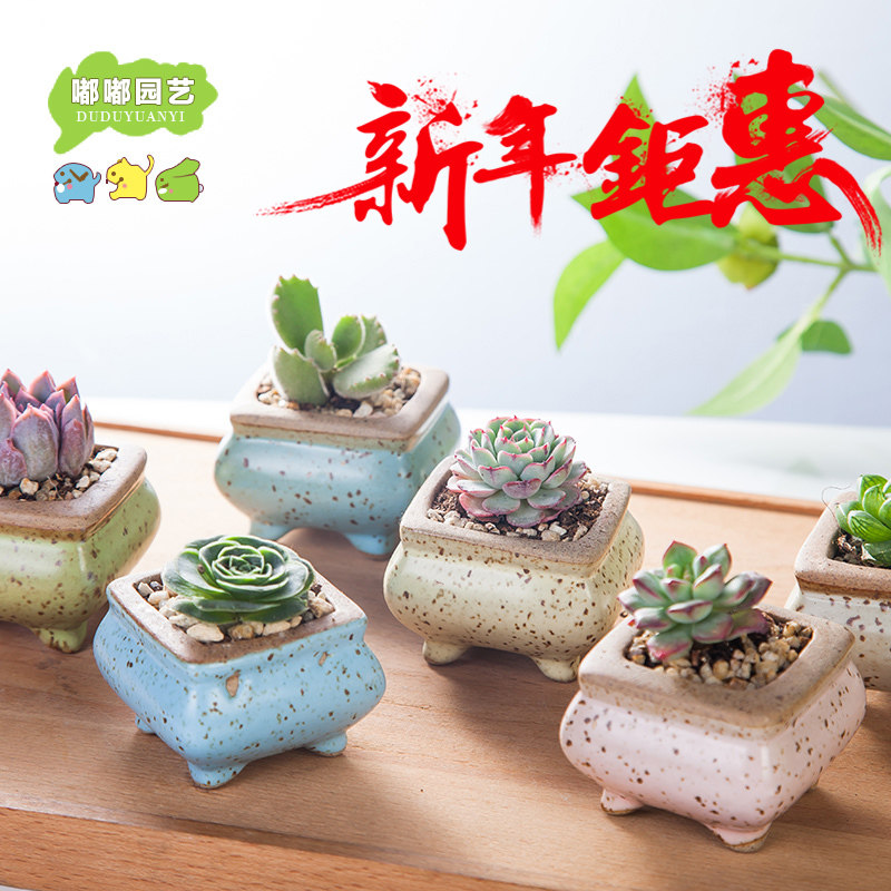 韩国拇指盆 多肉花盆小方盆景德镇手工陶瓷欧式韩版粗陶盆包邮