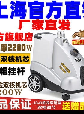 捷夫全铜双核机芯立式挂烫机2200W大功率家用蒸汽熨烫机商用双温