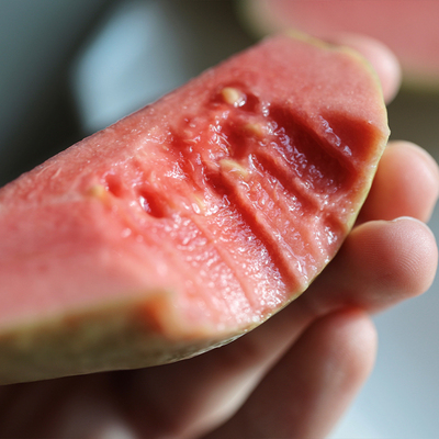 悟空家草莓红心芭乐红巴乐软心番石榴鸡屎果新鲜热带水果酸甜孕妇