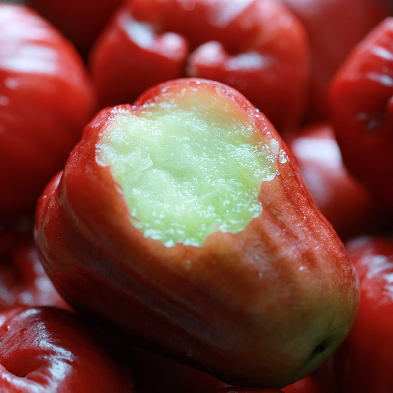 2月约！悟空家南鹿1号有机莲雾黑糖芭比脆甜新鲜孕妇水果礼盒,水产肉类/新鲜蔬果/熟食,莲雾,淘宝优惠券,粉丝福利购,淘宝优惠卷