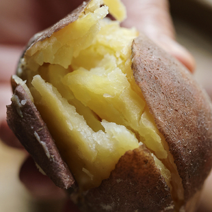 悟空家大福 土豆红皮黄心洋芋高原粉糯马铃薯粗粮新鲜现挖云南产