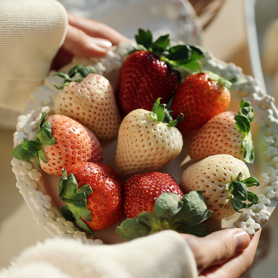 悟空家多色草莓盲盒香野粉玉黑白红粉橙多彩草莓随机发不指定品种