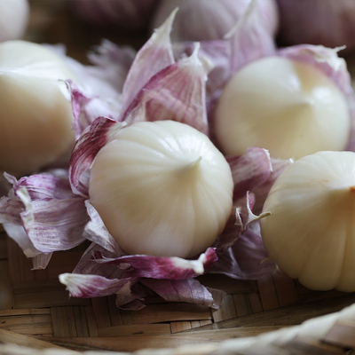 YT！悟空家 紫皮独头蒜 新鲜大蒜头鲜蒜蔬菜圆头独蒜调味独立蒜