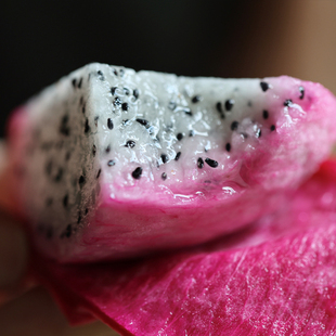 月底约！悟空家冰激凌火龙果新品种红白双色渐变色新鲜孕妇水果