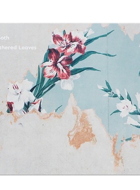 现货 英文原版 Alec Soth明信片 Alec Soth: Gathered Leaves 亚历克·索斯: 收集的树叶 明信片 阿勒克·索思
