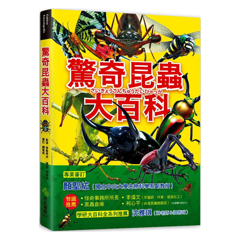 预售 冈岛秀治《惊奇昆虫大百科：会自爆的爆炸平头蚁X能隐形的红晕绡眼蝶X把青蛙当饵食的狄氏大田鳖，真实存在、