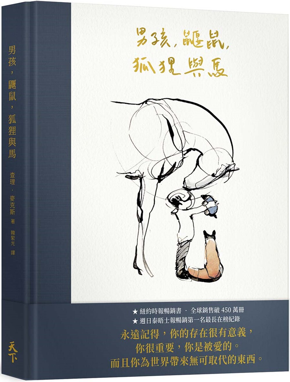 男孩鼹鼠狐狸港台原版