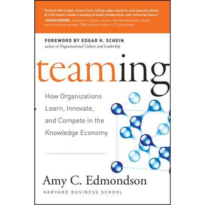 现货 英文原版 团队运作 Teaming: How Organizations Learn, Innovate, And Compete In The Knowledge Economy 书籍/杂志/报纸 管理类原版书 原图主图