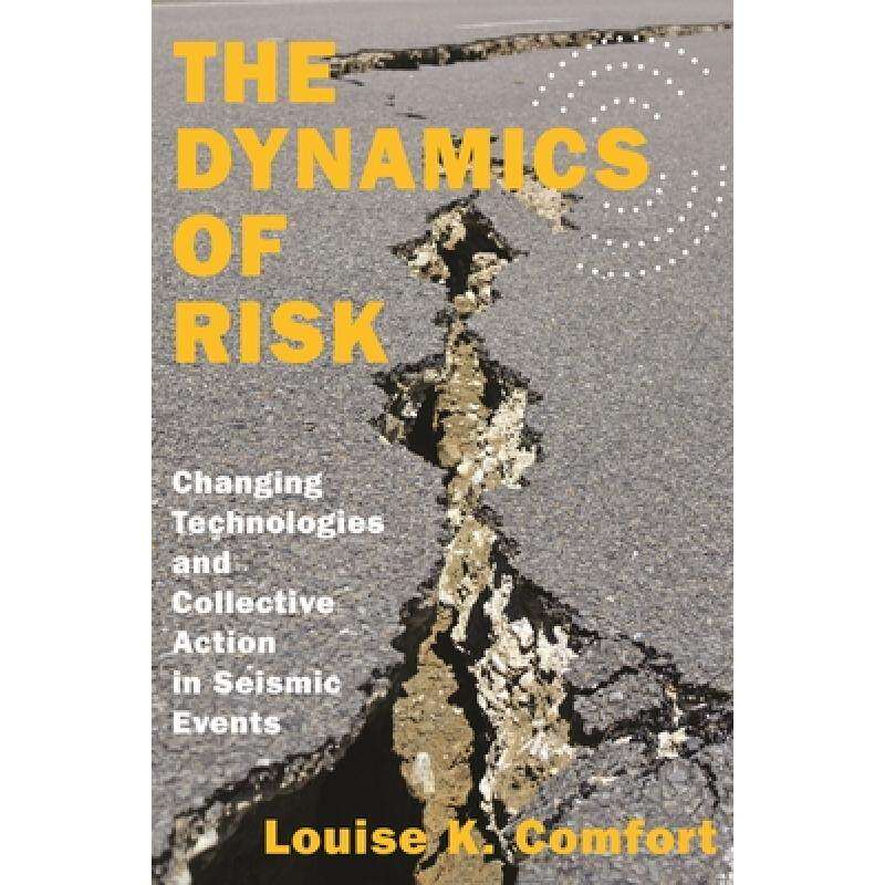 现货 英文原版 风险动态 The Dynamics of Risk
