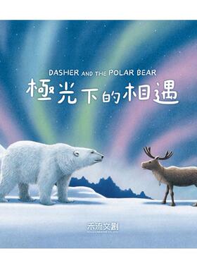 预售 极光下的相遇 禾流文创 Matt Tavares