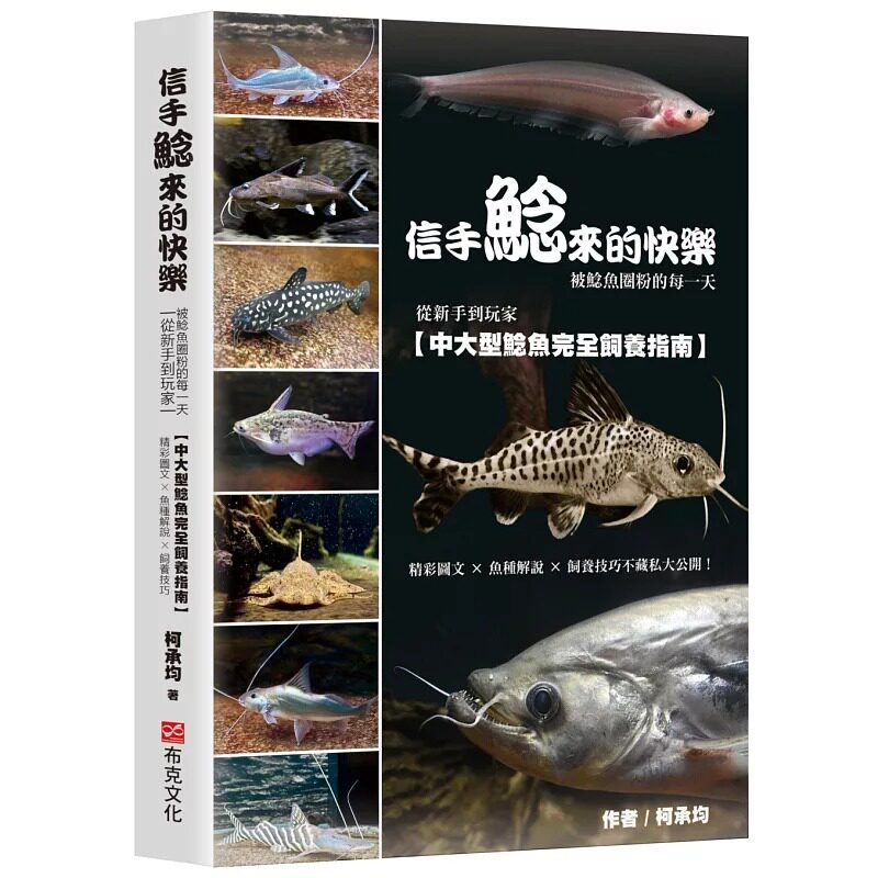预售 信手鲶来的快乐:被鲶鱼圈粉的每一天 从新手到玩家,中大型鲶鱼完全饲养指南。精彩图文×鱼种解说 布克文化 柯承