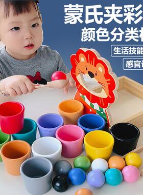 蒙氏球和杯子早教益智Lovevery玩具颜色认知配对分类启蒙教具夹珠