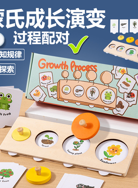 蒙氏Lovevery木制成长过程配对游戏动植物生长认知早教益智教玩具