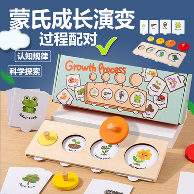 蒙氏品牌早教教具成长过程演变