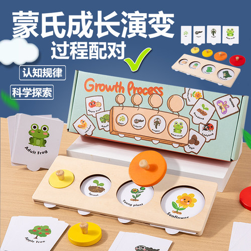 蒙氏品牌早教教具成长过程演变
