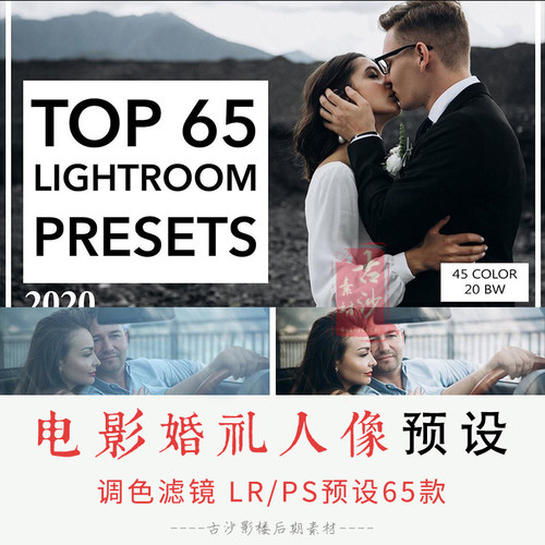 0141-LR PS预设 Pavel Melnik排名前65位的电影婚礼人像预设65款