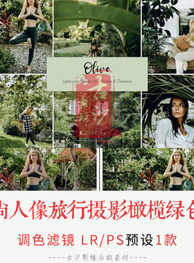 0274-LR+PS预设 时尚人像旅行摄影橄榄绿色调LRPS预设APP预设 1款
