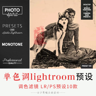 048-LR PS预设-10款单色调lightroom预设lightroom滤镜支持手机版