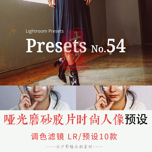 0310-LR预设 哑光磨砂胶片时尚人像Lightroom预设 10款