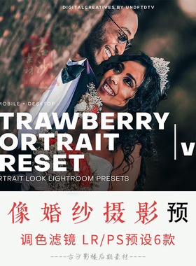 070-LR PS预设6款人像婚纱摄影照片调色滤镜LR预设XMP Camera Raw