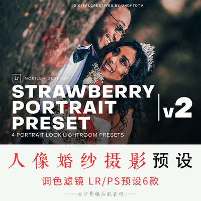 070-LR PS预设6款人像婚纱摄影照片调色滤镜LR预设XMP Camera Raw