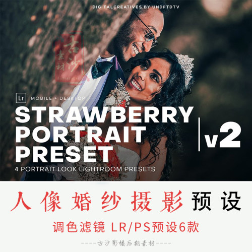 070-LR PS预设6款人像婚纱摄影照片调色滤镜LR预设XMP Camera Raw