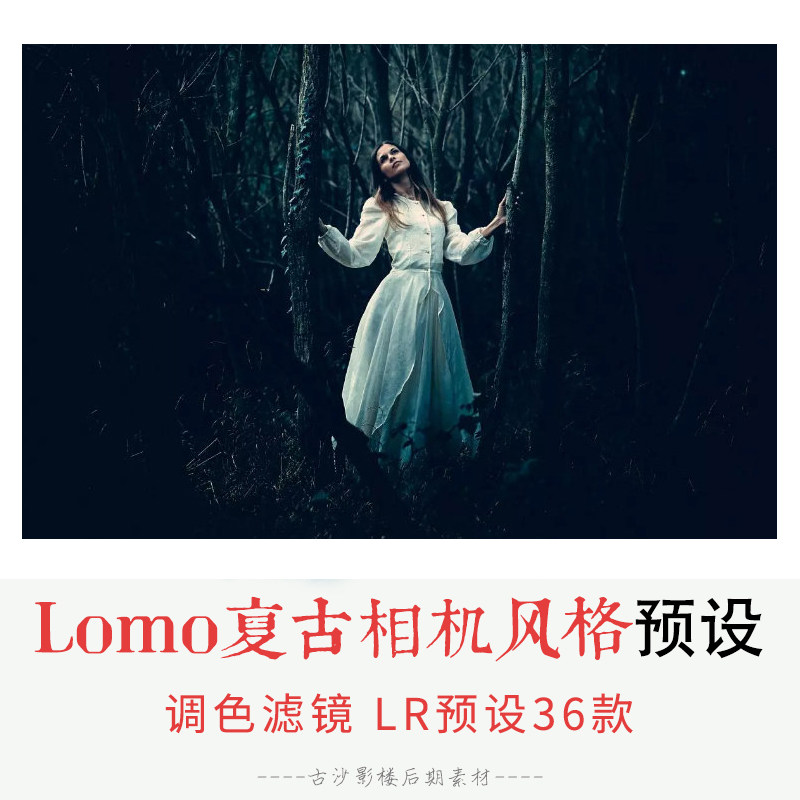 019-LR预设 36个Lomo复古相机风格Lightroom预设套装