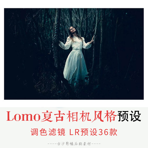 019-LR预设 36个Lomo复古相机风格Lightroom预设套装