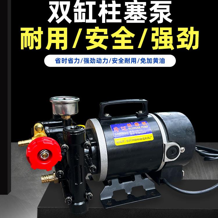 24v手提式双缸喷雾器隆迈