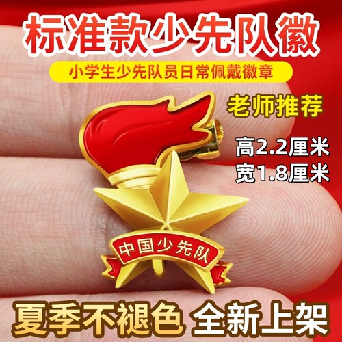 小学学校中国少先队队徽少工委