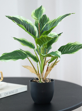 LxHouse仿真绿植室内造景道具
