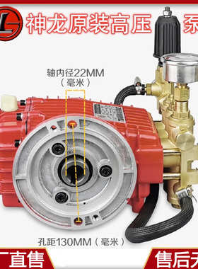 上海神龙QL60/80洗车机泵头总成刷车泵机头BZ320清洗机曲轴箱铜块