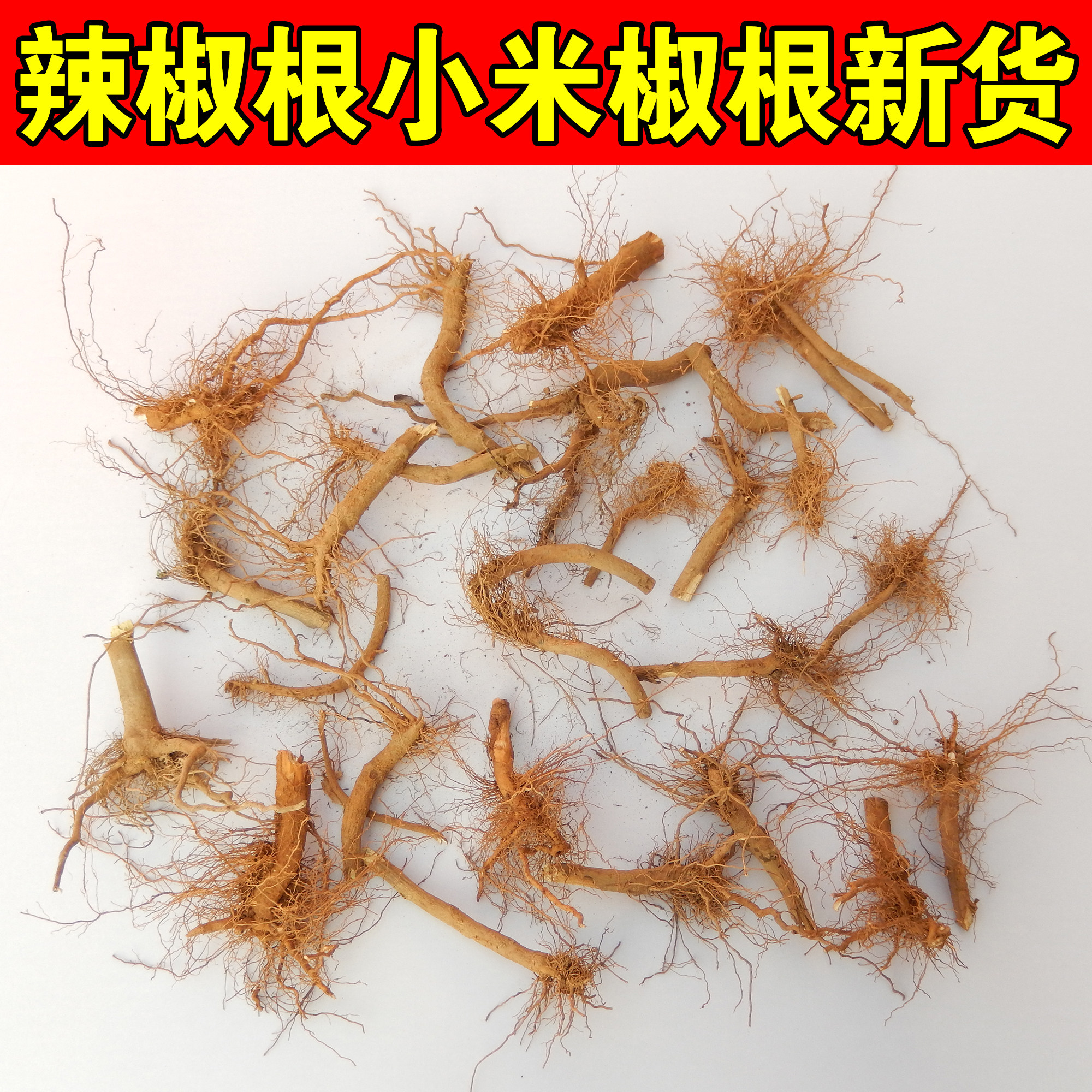 新货辣椒根辣椒头正品纯辣椒根中药材辣椒根秧根 朝天椒根散寒方