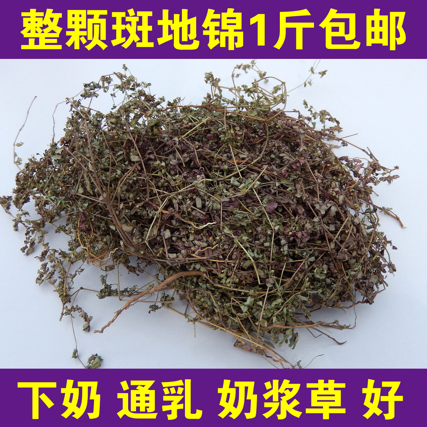 今年新货地锦草1斤包邮血见愁 卧蛋草 铺地草新鲜奶浆草 斑地锦 传统滋补营养品 其他药食同源食品 原图主图